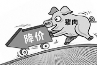 广州价格监测 9月猪肉价格小幅下降