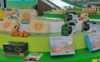 四川：护航“舌尖上的安全”　“川字号”农产品优产优供